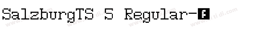 SalzburgTS 5 Regular字体转换